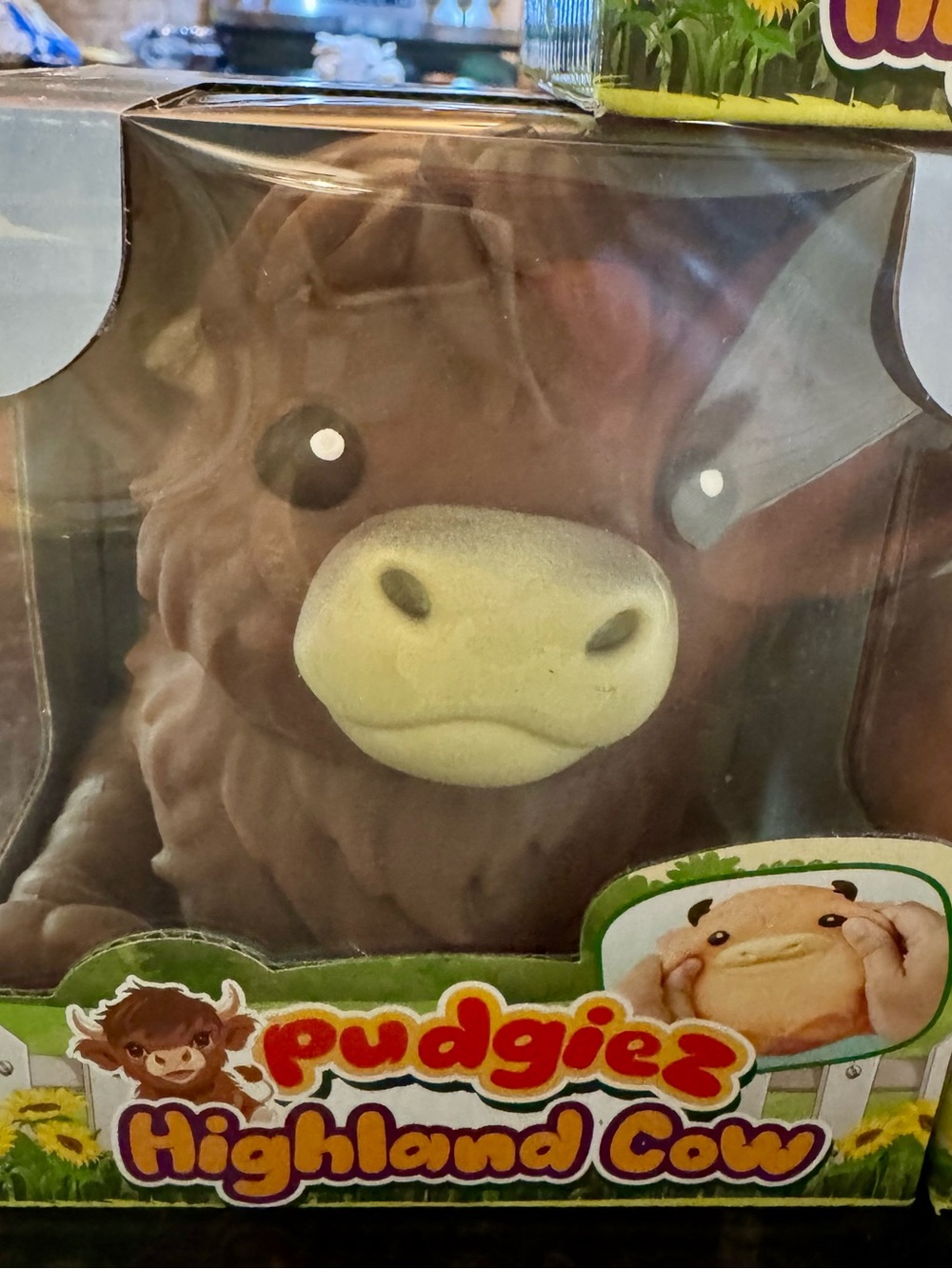 Highland Cow Squishy- Is He Not The Cutest Cow Ever!?! - Picture 6 of 6